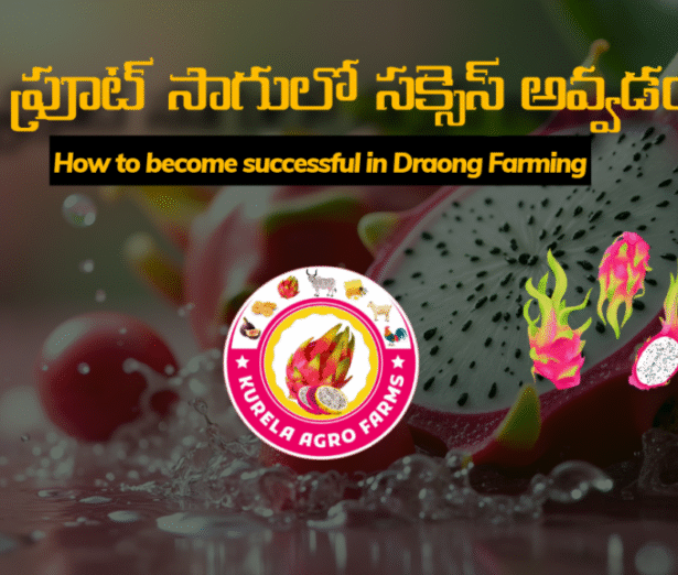 How-to-become-successful-in-Dragon-Farming-1024x576